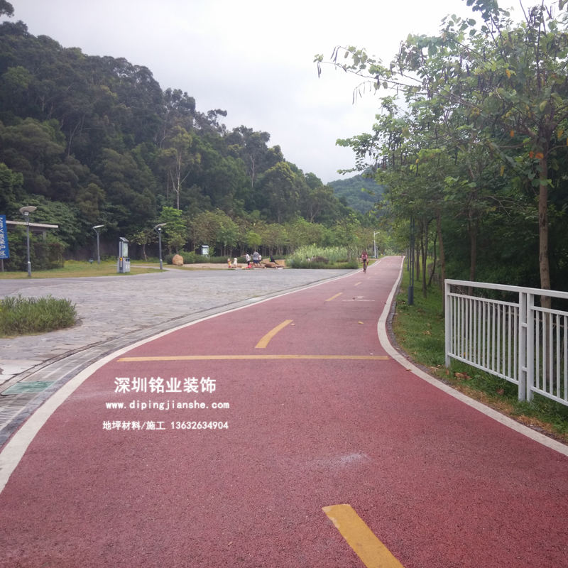 深圳翠湖公園透水混凝土案例