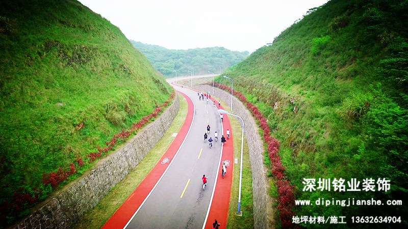 花開最美路∣岱山彩色公路黃燕線 串起醉美“蓬萊”景觀