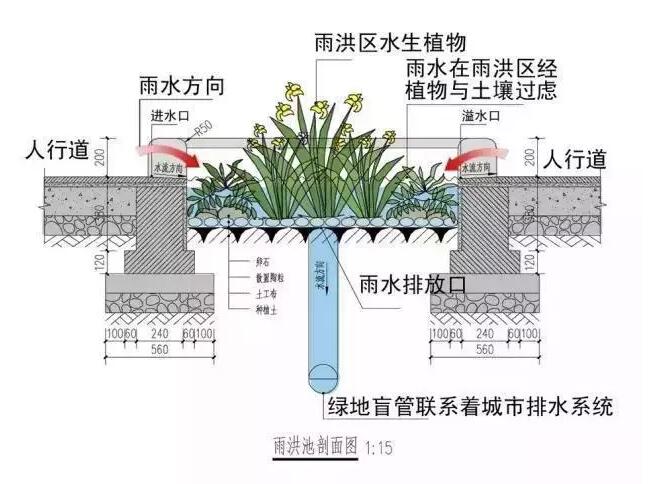 QQ截圖20181120110418